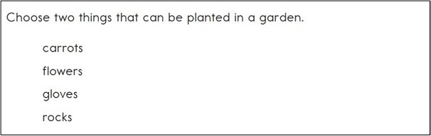 This image contains an item reading: Choose two things that can be planted in a garden. The answer options are: Carrots, Flowers, Gloves, and Rocks.